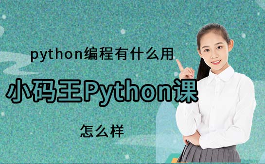 小码王Python程序开发课程怎么样